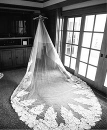 Luxury 5 M Single Layer Lace Tulle Wedding Bridal Veils For Beach Garden Wedding Chapel Train Luxury Vintage Bridal Wedding Veils5593008