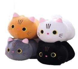 2024 25cm cute fat cat plush doll soft cute face pussy ragdoll for children soothing cylindrical lithe down cotton pillow birthday gift