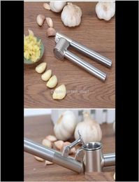 Other Kitchen Tools Garlic Press Food Grade Stainless Steel Crusher 240G Heavy Duty Rusting And Corrosion Proof Ginger Sq Nfuhf4241513