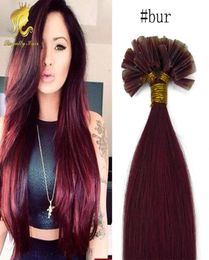 Keratin U Tip Brazilian Hair 05 Gramme Each Strand Nail Tip burgundy Human Hair Extension Pre bonded Straight Hair6120403