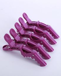 Whole Beak Sectioning Clips Crocodile Hairdressing Salon Clamps Hair Grip 6 pcs9025094