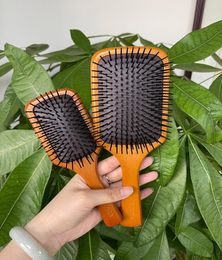 Top Quality AVEDA Paddle Brush Brosse Club Massage Hairbrush Comb Prevent Trichomadesis Hair SAC Massager5313185