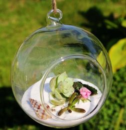 Ball Globe Shape Clear Hanging Glass Vase Flower Plants Terrarium Container Micro Landscape DIY Wedding Home Decoration Vases7047413