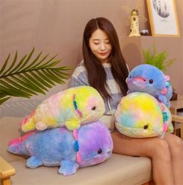 40cm 55cm Cartoon Colourful Salamander Plush Toys Stuffed Soft Baby Lovely Fish Pillow Kawaii Lifelike Doll for Kids Children Gifts2978963