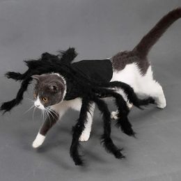 Halloween Spider Costume for Dog Cat Halloween Pet Costume Party Supply Spider Cosplay Costumes for Small Medium Dogs and Cats 240228