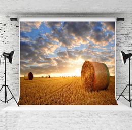 7x5ft Autumn Straw Bales Backdrop Sunset Blue Sky Haystack Pography Background Fall Harvest Season Po Backdrops for Holiday 8780586