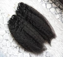 Coarse Yaki Hair 100 Remy Human Micro Link Human Hair Extensions 200g Kinky Straight Brazilian Remy Virgin Micro Loop Human Hair 3863473