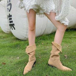 Thigh High Heel Ankle Boots Shoes Winter Ruffled Mid Length Boots Pointed Thick Heels Small Crowd Stacked Knight Girl 230830