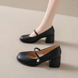 Dress Shoes 2024 Spring And Autumn Season Round Head Fashion Leather Waterproof Platform Comfortable High Heel Shallow Mouth