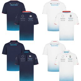Men's T-shirts F1 Racing Mens Team Jersey T-shirt Formula 1 Driver Polo Shirts T-shirt Summer Racing Fans Zip Tops Unisex Plus Size T-shirt c