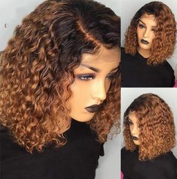 Alice 1B27 Ombre Colour Short Curly BOB Wigs Human Hair0128347581