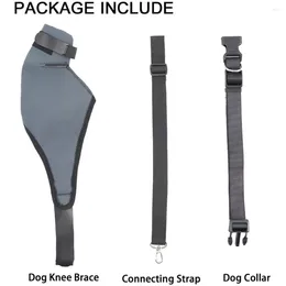 Dog Apparel Right Legs Postoperative Leg Protection Injury Knee Pet Protective Gear Support Frame Brace Dislocation Of Joint
