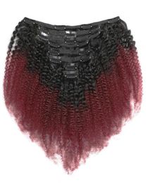 Clip In Peruvian Human Hair Afro Kinky Curly Clips ins Extensions for Women 8 Pcs 120gSet Ombre Colour T1B 99J4054112