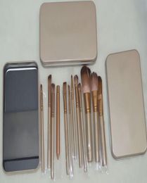 ePacket New Makeup Brushes NO3 12 Pieces Brush With Iron Box3956524