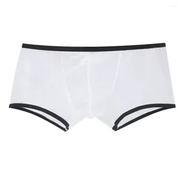 Underpants Men Fine Mesh See Through Boxer Briefs Low Waist Solid Colour Panties Fully Transparent Sexy Underwear Lingerie