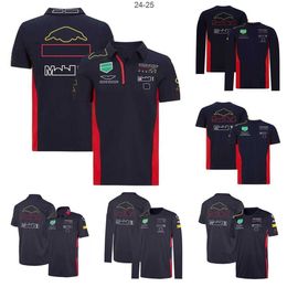 Men's T-Shirts F1 Formula 1 T-shirt summer team polo suit same style customization