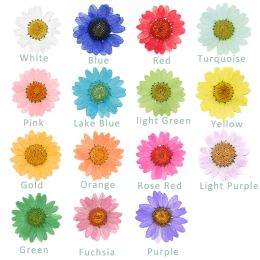 1080 pcs Pressed Press Dried Daisy Dry Flower Plants For Epoxy Resin Pendant Necklace Jewelry Making Craft DIY Accessories 2024304
