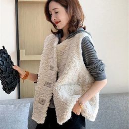 Women's Vests 2024 Autumn Winter Korea Fashion Women Casual Loose V-neck Sleeveless Coats Single Breasted Lamb Wool Vest Female V759