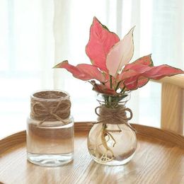 Vases Clear Plastic Hyacinth Vase Transparent Flower Plant Bottle Pot DIY Ornament Home Living Room Garden Decoration Flowerpot