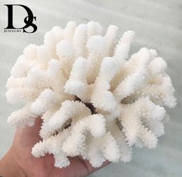 1416cm 100 Natural Coral Sea White Coral Tree White Coral Aquarium Landscaping Home Furnishing Ornaments Home Decoration3339176