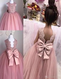 Blush Pink Toddler Pageant Dresses Sleeveless Pleats Tulle Ball Gown Lace Graduation Gowns Children Floor Length Open Back Flower 8560972