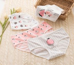 2020 new girls underwear 6pclot lace cotton strawberry middle waist briefs young girl panties Teenagers wholes s5221141