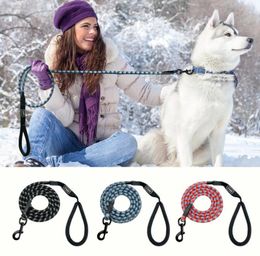 Nylon Reflective Dog Leash Pet Training Leashes Safety 6ft Long Mountain Climbing Rope Dog Lead For Small Medium Large Dogs Q190439445778