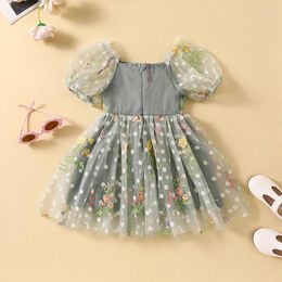 Girl Dresses Toddler Baby Summer Clothes Butterfly Flower Embroidery Princess Tulle Tutu Dress Birthday Cake Smash Outfit
