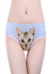 Women039s Panties Sexy 3D Cat Print Underwear Clothes Women Funny Female Lingerie Briefs Low Waist Comfortable Underpants Short4617894