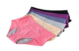 Leak Proof Menstrual Panties Physiological Pants Women Underwear Period Cotton Waterproof Briefs Plus Size Female Lingerie 09831981101