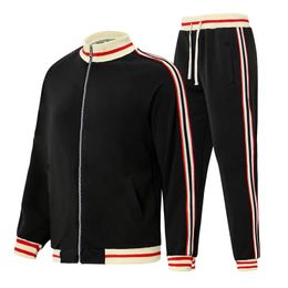 Casual Mens Tracksuit Spring Autumn Men Sets Zip Cardigan Two Piece Jacket Pants Suit Striped Jogging Sportsuit Male Sweatsuit 240301