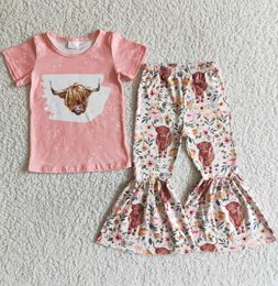 Whole Baby Girl Clothes Sets Boutique Kids Outfits Western Style Fashion Girls Short Sleeve Bell Bottom Outfit Spring Kid Chil8852166