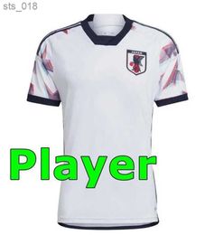 Soccer Jerseys 2024 Cup Cartoon Fans Player version ATOM HINATA DOAN Japanese uniform Football Shirt nese dragonH24350588