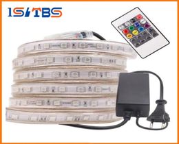 Cut 10M50M 110V220V High Voltage SMD 5050 RGB Led Strips Lights Waterproof IR Remote ControlPower Supply3504489