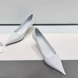 Dress Shoes Spring And Autumn Women's High-heeled Pointy Heel Design Slim High Heels Fashion Party