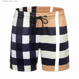 Men's Shorts Designer mens Shorts Beach Pants Plaid Stripe Brand pure cotton Fashion Loose Street suit Quick-drying Swimsuit Short Size Large 3XL Q240305