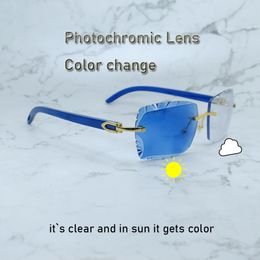 Photochromic Sunglasses Diamond Cut Stylish Colour Change Two Colours Lenses 4 Season Glasses Frame Designer Carter Luxury Eyewear Blue Wood Sun Glasses