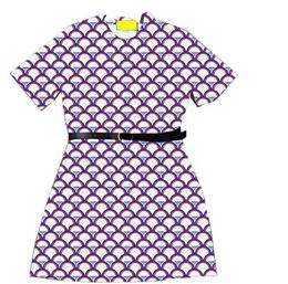Latest Belt Dresses Women Print Dress Skirt Summer Elegant Charm Dress Street Style Personality Girls Skirts Clothing3976596