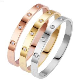 Wholesale Price Hand Polished High Quality 6mm Silver Rose Gold Color Zircon Bangles Jewelry Women Bracelet Waterproof