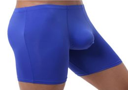 Underpants Sexy Men Underwear Boxers Shorts Cueca Cool Ice Silk Panties Man Solid Breathable Pouch Long Leg Ropa Interior HombreUn7453688