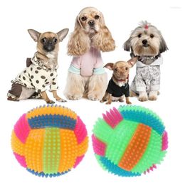 Dog Apparel Training Ball With Colourful LED Fun Squeaky Toys Pet Interactive