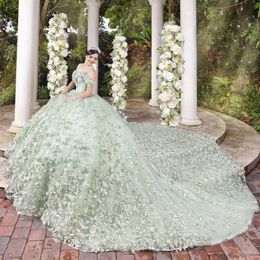 Light Green Gillter Princess Quinceanera Dresses 2024 Off Shoulder 3D Floral Applique Lace Tull Lace-up Corset Vestidos 15 anos