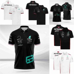 Men's T-shirts F1 Formula 1 T-shirt Summer Short-sleeved Polo Shirt Same Style Customization Mmth