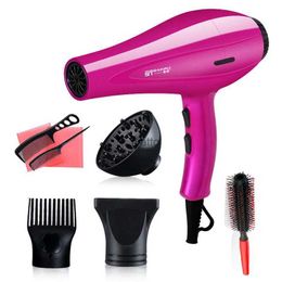 Other Appliances Hair Dryers 2000W Power Professional Blue Light Anion Blow Dryer 2 Speed 3 Heat Settings Hot/Cold Wind Salon StylingH2435