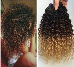 Three Tone 1B427 Kinky Curly Ombre Human Hair Extensions 3Pcs Dark Root Brown to Honey Blonde Ombre Human Hair Weave Bundles4951314