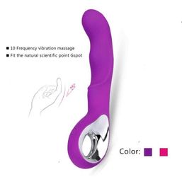 Sex Toy for Women USB Rechargeable Female Masturbation Vibrator Clit and G Spot Orgasm Squirt Massager AV Vibrating Stick Dildo Y3845186