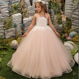 Girl Dresses A Blush Lace Appliqued Flower Tulle Beading Pageant For Girls First Communion Kids Prom