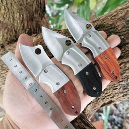 Outdoor Mini Folding Fruit Camping High Hardness Stainless Steel Detachable Portable Knife 145101
