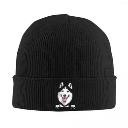 Berets Siberian Husky Skullies Beanies Caps Fashion Winter Warm Men Women Knitted Hat Adult Unisex Alaskan Malamute Dog Bonnet Hats