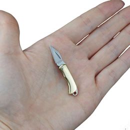 Outdoor EDC Brass Precision Cast Steel Small Folding Knife, Ultra Light Key Pendant Pocket, Portable Mini Knife 996607